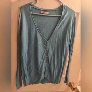 Old Navy Sky Blue Cardigan, Size L, V Neck